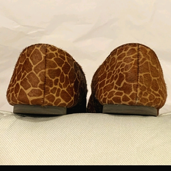 FOSSIL  FLATS! - Picture 5 of 6